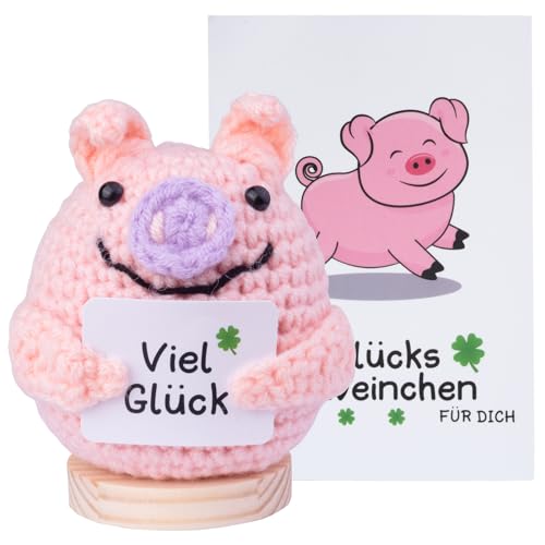 Mwmoeen Pocket Hug Glücksschweinchen, Positive Geschenke Schwein mit Energiekarte, Kreative Strickwolle Puppe für Frauen, Abschiedsgeschenk Kollegen(C) von Mwmoeen