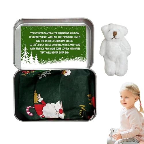 Mwqpgyh -Stoffbär in Einer Dose,Tiny Bear Plüschtier mit Karten und Quilts - Weihnachts-Taschenbär-Plüsch, Taschenbär-Spielzeug mit Karten und Steppdecken, ausgestopfte Bärenpuppen, von Mwqpgyh