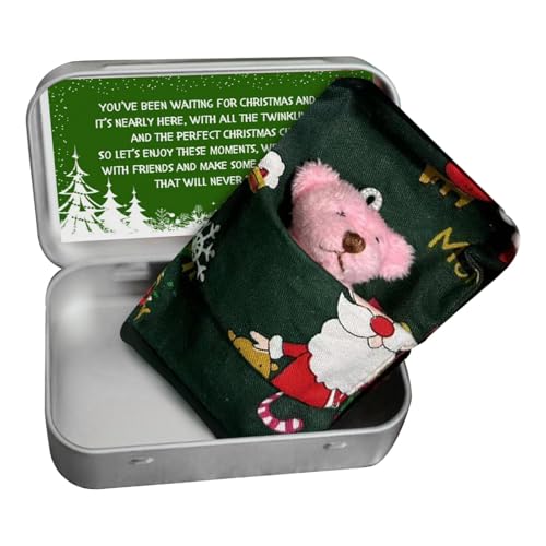 Mwqpgyh Taschenbär Kleines Stofftier | Weihnachten Bär in Box Stofftier Bär,Winziger Bär in Box Weihnachten, Stoffbär, Taschenbär-Spielzeug mit Karten und Steppdecken für Babyparty-Geburtstag von Mwqpgyh