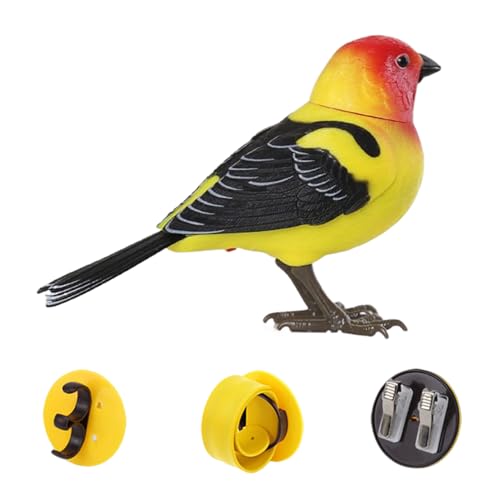 Mxshc Electronic Bird Toy - Interaktives Vogelspielzeug Mit Zwitschern Und Musik | Niedliches Elektronisches Haustier für Kinder Erwachsene Familie Mxshc Electronic Bird Toy - Interaktives Vogelspielzeug Mit Zwitschern Und Musik | Niedliches Elektronisches Haustier für Kinder Erwachsene Familie von Mxshc