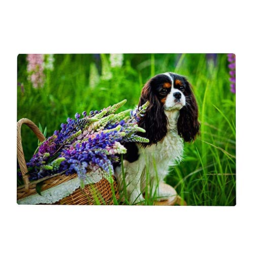 1000 Teile Puzzle für Erwachsene - Cavalier King Charles Spaniel Hund mit Lupinenblüten von My Daily