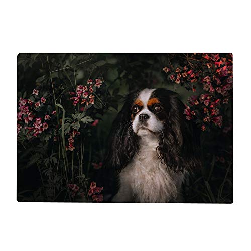 1000 Teile Puzzle für Erwachsene - Cavalier King Charles Spaniel Hund und Blumen Puzzles Spiel Kinder Spielzeug von My Daily