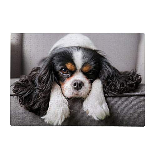 1000 Teile Puzzle für Erwachsene - Cavalier King Charles Spaniel Hund von My Daily