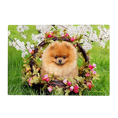 1000 Teile Puzzles für Erwachsene - Pomeranian Dog Flower von My Daily