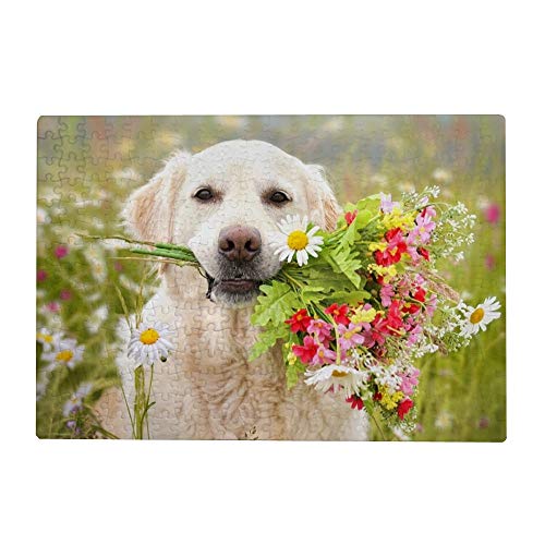 300 Teile Puzzle für Erwachsene - Golden Retriever Hund Blume von My Daily