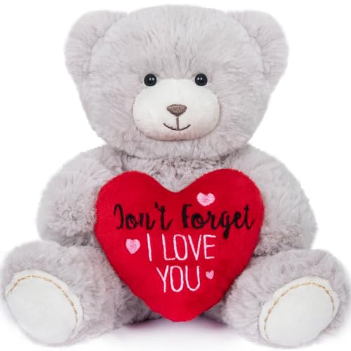 My OLi Teddy Plüschbär mit Herz Rot-Don't Forget I Love YOU-18 cm Teddybär Plüschteddy Kuscheltier Schmusetier für Babys Kinder Jungen Mädchen Liebhaber Hellgrau von My OLi