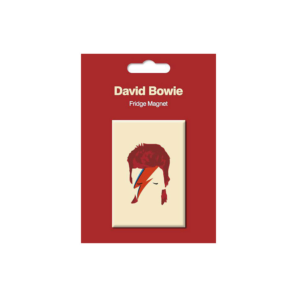 My World Pop Art Magnet - Aladdin Sane Dekomagnet von My World