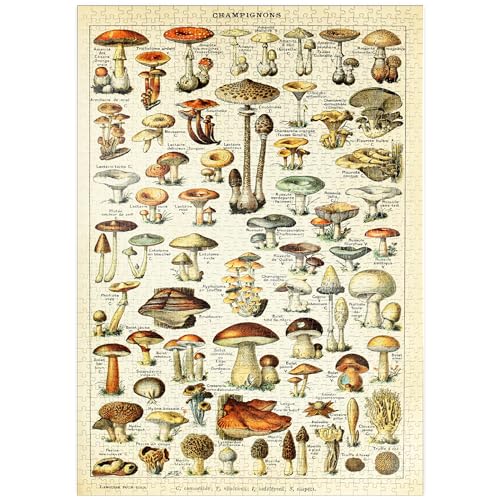 MyPuzzle Champignons - Pilze für Alle, Vintage Art Poster, Adolphe Millot - Premium 1000 Teile Puzzle - MyPuzzle Sonderkollektion von Havana Puzzle Company von MyPuzzle.com