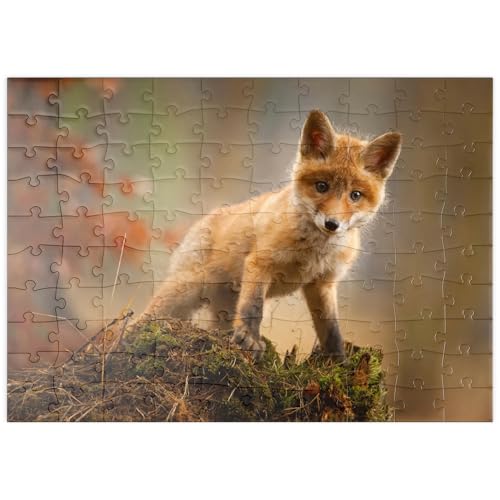 MyPuzzle EIN junger, neugieriger Fuchs im Wald - Premium 100 Teile Puzzle - MyPuzzle Sonderkollektion von Puzzle Galaxy von MyPuzzle.com