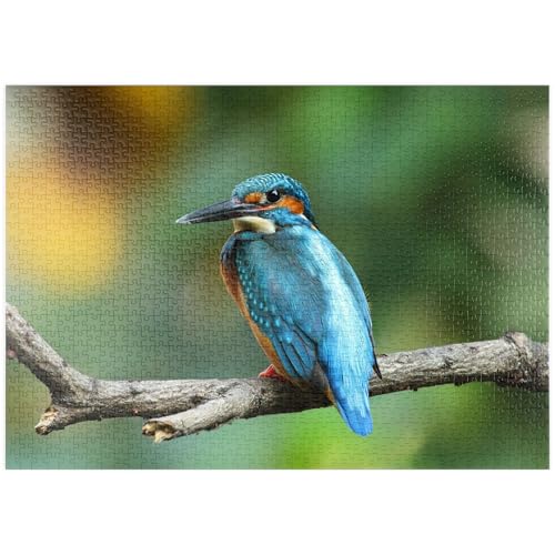 MyPuzzle Eisvogel - Premium 1000 Teile Puzzle - MyPuzzle Sonderkollektion von Puzzle Galaxy MyPuzzle Eisvogel - Premium 1000 Teile Puzzle - MyPuzzle Sonderkollektion von Puzzle Galaxy von MyPuzzle.com