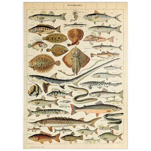 MyPuzzle Fisch für alle, Vintage Art Poster, Adolphe Millot - Premium 100 Teile Puzzle - MyPuzzle Sonderkollektion von Havana Puzzle Company von MyPuzzle.com