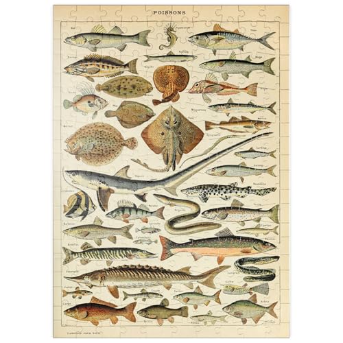 MyPuzzle Fisch für alle, Vintage Art Poster, Adolphe Millot - Premium 200 Teile Puzzle - MyPuzzle Sonderkollektion von Havana Puzzle Company von MyPuzzle.com