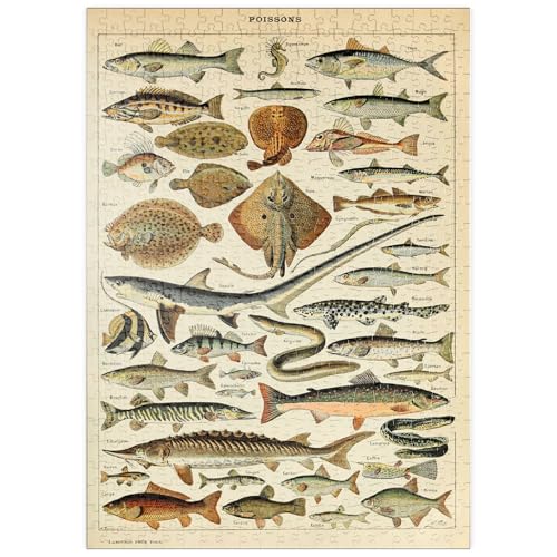 MyPuzzle Fisch für alle, Vintage Art Poster, Adolphe Millot - Premium 500 Teile Puzzle - MyPuzzle Sonderkollektion von Havana Puzzle Company von MyPuzzle.com