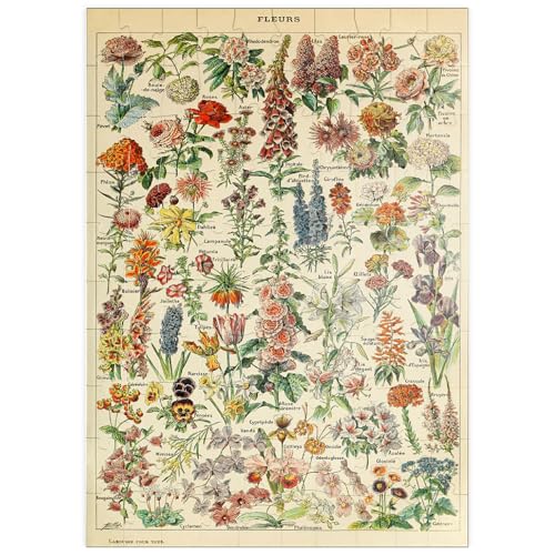 MyPuzzle Fleurs - Blumen für Alle, Vintage Art Poster, Adolphe Millot - Premium 100 Teile Puzzle - MyPuzzle Sonderkollektion von Havana Puzzle Company von MyPuzzle.com