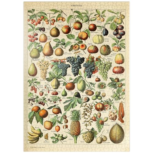 MyPuzzle Fructus - Früchte für alle, Vintage Art Poster, Adolphe Millot - Premium 1000 Teile Puzzle - MyPuzzle Sonderkollektion von Havana Puzzle Company von MyPuzzle.com