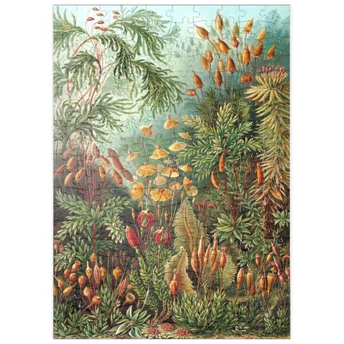 MyPuzzle Moss (Muscinae) - Kunstformen in der Natur, Vintage Art Poster, Ernst Haeckel - Premium 200 Teile Puzzle - MyPuzzle Sonderkollektion von Havana Puzzle Company von MyPuzzle.com