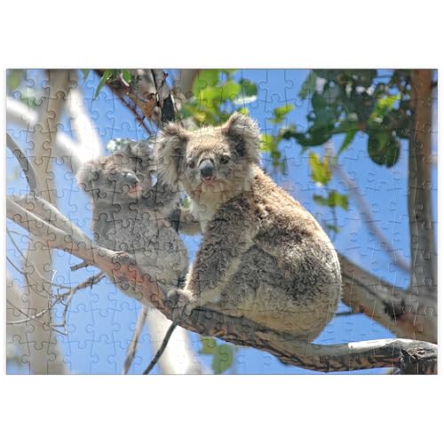 MyPuzzle Bedrohte Tierarten - Koalas - Premium 200 Teile Puzzle - MyPuzzle Sonderkollektion von Starnberger Spiele von MyPuzzle.com