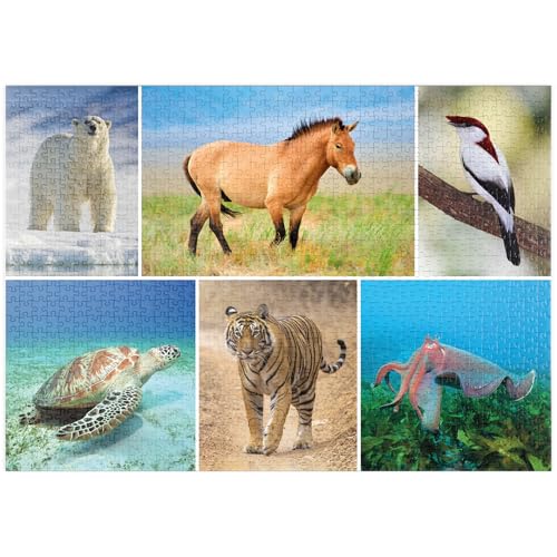 MyPuzzle Einzigartig - Bedrohte Tierarten - Collage No. 4 - Premium 1000 Teile Puzzle - MyPuzzle Sonderkollektion von Starnberger Spiele von MyPuzzle.com