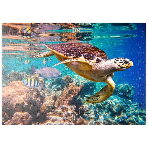 MyPuzzle Hawksbill Turtle, Karettschildkröte, Malediven - Premium 200 Teile Puzzle - MyPuzzle Sonderkollektion von Puzzle Galaxy von MyPuzzle.com