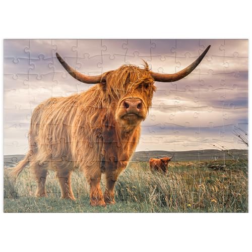 MyPuzzle Highland Kühe an der Nordküste Schottlands - Premium 100 Teile Puzzle - MyPuzzle Sonderkollektion von Puzzle Galaxy von MyPuzzle.com