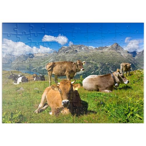 MyPuzzle Kühe am Weg vom Corvatsch-Murtel mit Piz Polaschin und Oberengadiner Seen, St. Moritz - Premium 100 Teile Puzzle - MyPuzzle Sonderkollektion von Puzzle Galaxy von MyPuzzle.com