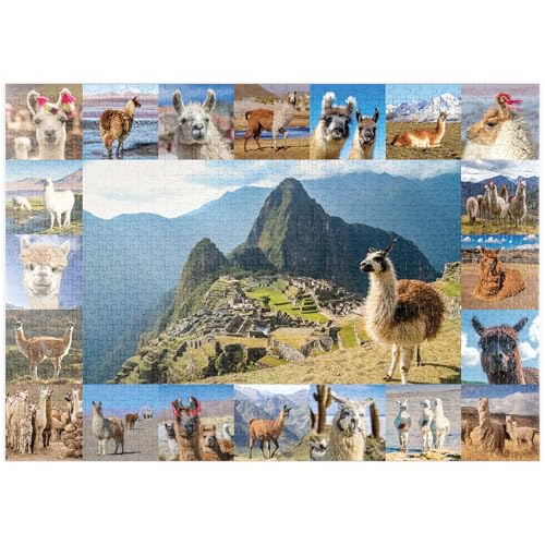 MyPuzzle Lamas und Alpakas - Collage No. 1 - Premium 1000 Teile Puzzle - MyPuzzle Sonderkollektion von Starnberger Spiele von MyPuzzle.com