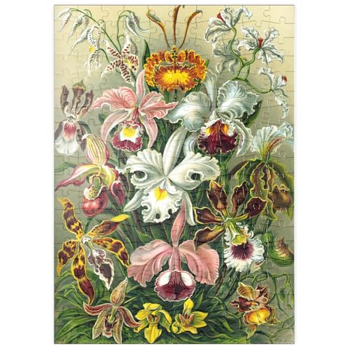 MyPuzzle Orchidee - Kunstformen der Natur, Vintage Art Poster, Ernst Haeckel - Premium 200 Teile Puzzle - MyPuzzle Sonderkollektion von Havana Puzzle Company von MyPuzzle.com