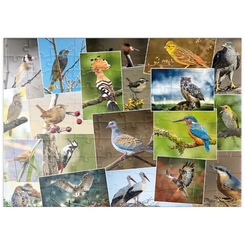 MyPuzzle Vögel des Jahres - Collage Nr.1 - Deutschland - Premium 100 Teile Puzzle - MyPuzzle Sonderkollektion von Starnberger Spiele von MyPuzzle.com