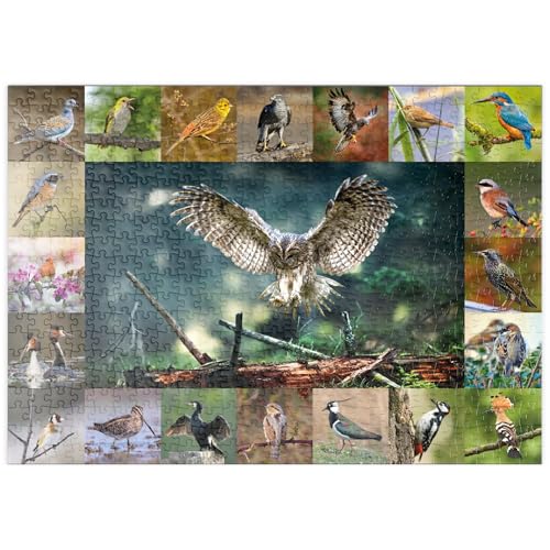 MyPuzzle Vögel des Jahres - Collage Nr.5 - Hauptmotiv: Waldkauz - Premium 500 Teile Puzzle - MyPuzzle Sonderkollektion von Starnberger Spiele von MyPuzzle.com