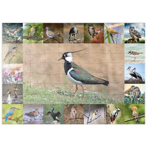 MyPuzzle Vögel des Jahres - Collage Nr.9 - Hauptmotiv: Kiebitz - Premium 100 Teile Puzzle - MyPuzzle Sonderkollektion von Starnberger Spiele von MyPuzzle.com