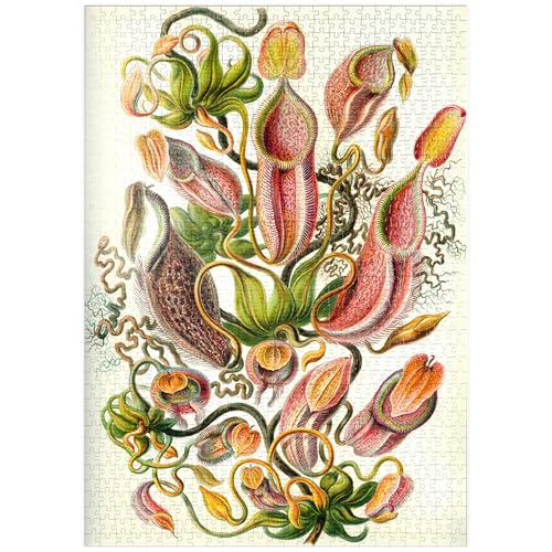 MyPuzzle Nepenthaceae - Kannenpflanze, Vintage Art Poster, Ernst Haeckel - Premium 1000 Teile Puzzle - MyPuzzle Sonderkollektion von Havana Puzzle Company von MyPuzzle.com