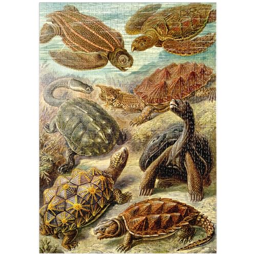 MyPuzzle Schildkröten (Chelonia) - Kunstformen in der Natur, Vintage Art Poster, Ernst Haeckel - Premium 1000 Teile Puzzle - MyPuzzle Sonderkollektion von Havana Puzzle Company von MyPuzzle.com