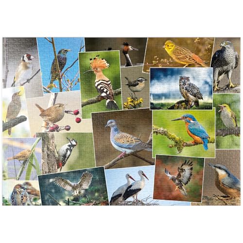 MyPuzzle Vögel des Jahres - Collage Nr.1 - Deutschland - Premium 1000 Teile Puzzle - MyPuzzle Sonderkollektion von Starnberger Spiele von MyPuzzle.com