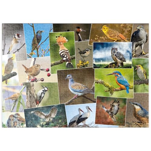 MyPuzzle Vögel des Jahres - Collage Nr.1 - Deutschland - Premium 500 Teile Puzzle - MyPuzzle Sonderkollektion von Starnberger Spiele von MyPuzzle.com