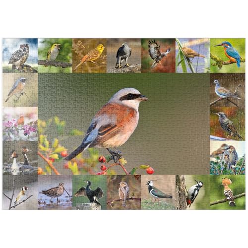 MyPuzzle Vögel des Jahres - Collage Nr.7 - Hauptmotiv: Neuntöter - Premium 1000 Teile Puzzle - MyPuzzle Sonderkollektion von Starnberger Spiele von MyPuzzle.com