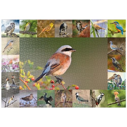 MyPuzzle Vögel des Jahres - Collage Nr.7 - Hauptmotiv: Neuntöter - Premium 1000 Teile Puzzle - MyPuzzle Sonderkollektion von Starnberger Spiele von MyPuzzle.com