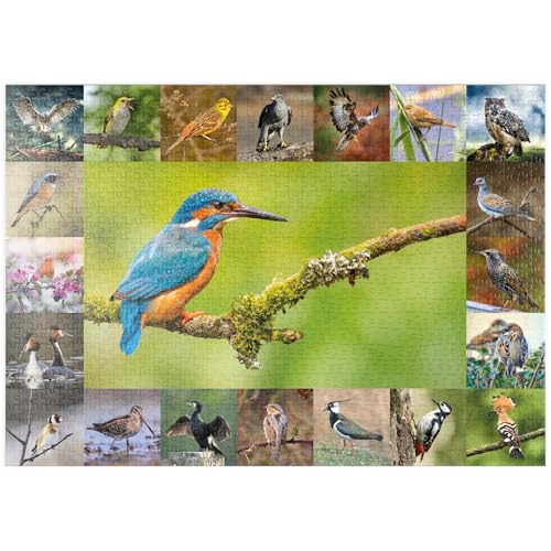 MyPuzzle Vögel des Jahres - Collage Nr.8 Hauptmotiv: Eisvogel - Premium 1000 Teile Puzzle - MyPuzzle Sonderkollektion von Starnberger Spiele von MyPuzzle.com