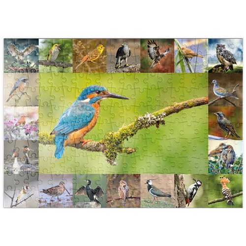 MyPuzzle Vögel des Jahres - Collage Nr.8 Hauptmotiv: Eisvogel - Premium 200 Teile Puzzle - MyPuzzle Sonderkollektion von Starnberger Spiele von MyPuzzle.com