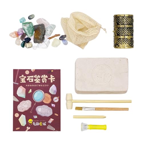 Edelstein-Grabungsset, Steingrab-Set, Geologie-Kit für Gestein und Archäologie, Entdecken Sie Edelsteine ​​mit Grabwerkzeugen, Archäologiespielzeug und Ausgrabungs-Edelstein-Set für Jungen und Mädchen von NAIYAN