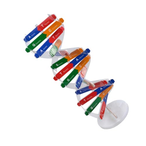 NAMOARLY 1 Satz DNA-doppelhelix Doppelstruktur-DNA-Modell Kinderspielzeug Zum Zusammenbauen DNA-Helix-Modell DNA-montagemodell Wissenschaftliches Lernspielzeug Wissenschaftsmodelle Papier von NAMOARLY