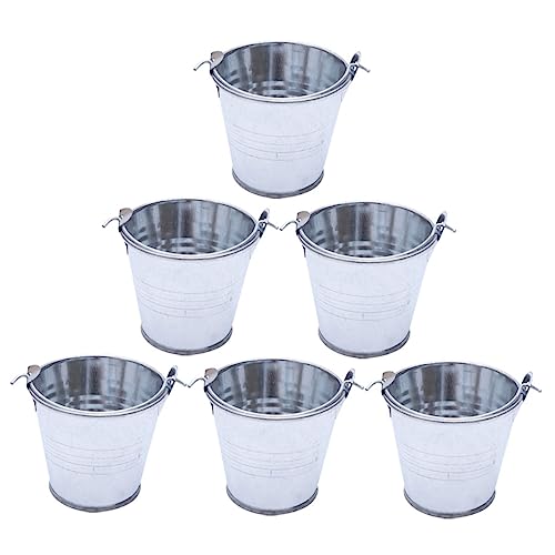 NAMOARLY 6pcs Kleine Eiseneimer Home Mini Eimer Kreative Dekorative Blumenpots von NAMOARLY