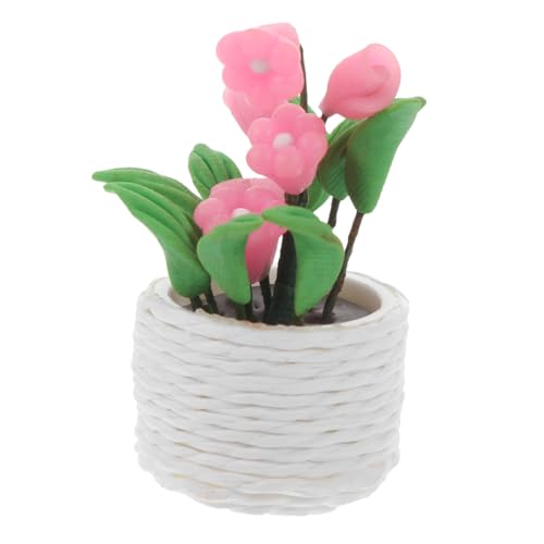 NAMOARLY Miniatur Bonsai Modell Kleine Zimmerpflanze Miniatur Potted Plant Dekoration für Puppenhaus Mini Garten Landschaft Zubehör Realistische Mini Pflanze im Topf NAMOARLY Miniatur Bonsai Modell Kleine Zimmerpflanze Miniatur Potted Plant Dekoration für Puppenhaus Mini Garten Landschaft Zubehör Realistische Mini Pflanze im Topf von NAMOARLY