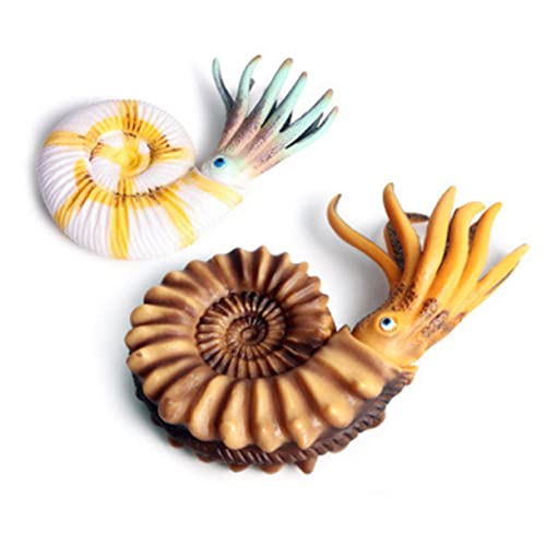 NAMOARLY Nautilus Modell Handspielzeug Aus Marines Tier Simulationsspielzeug Für Junge Mädchen Kreative Miniatur Dekoration Für Terrarien Gärten NAMOARLY Nautilus Modell Handspielzeug Aus Marines Tier Simulationsspielzeug Für Junge Mädchen Kreative Miniatur Dekoration Für Terrarien Gärten von NAMOARLY