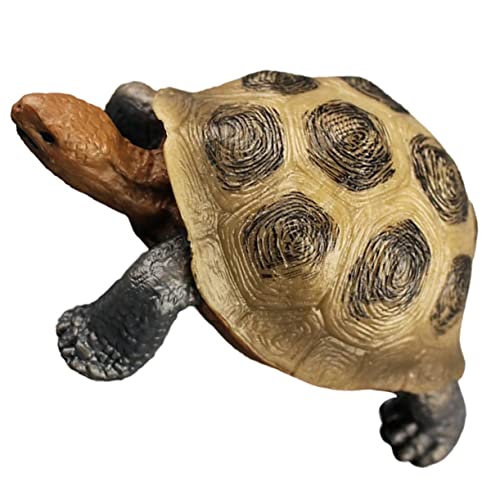 NAMOARLY Realistische Land Schildkröte Modell Kognitive Spielzeugfigur Für Wildtier Dekoration Ideal Für Spielzimmer Und Lernspielzeug Tierspielzeug Für Jungen Und ädchen von NAMOARLY