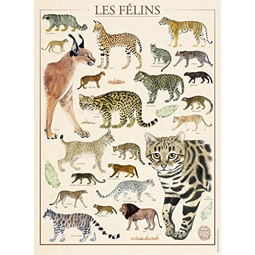 Puzzles Nathan 4005556872923 500 Teile – Die Katzen/Nationalmuseum für Naturgeschichte Puzzle für Erwachsene von NATHAN