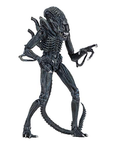 NECA Ultimate Alien Warrior Figur Blau, Mehrfarbig (634482516478) von NECA