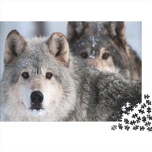 Animal Wölfe Puzzle 1000 Teile,Puzzles Für Erwachsene,Impossible Puzzle, Geschicklichkeitsspiel Für Die Ganze Familie, Puzzle Farbenfrohes von NEDLON