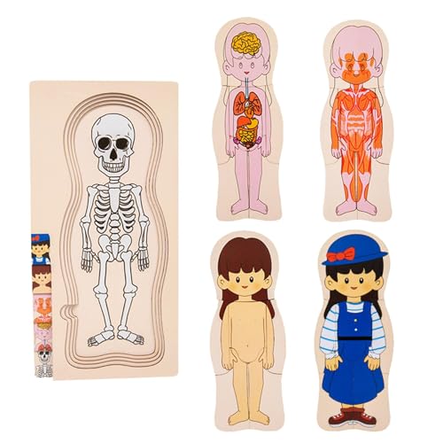Puzzle zum menschlichen Körper, Anatomiespielzeug für Kinder | Mehrschichtiges kognitives Puzzlespielzeug mit Anatomiestruktur aus Holz - Pädagogische, interaktive Frühentwicklungsmaterialien von NEECS