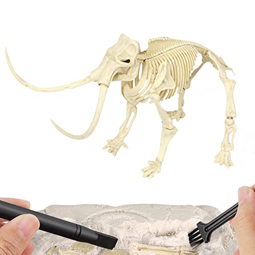 Fossilen Grabset für Kinder - Dinosaurier Fossil Bagger Set | Lerngeschenk für Wissenschaft Spielen Sie Dino Sand Dig Favor von NGUMMS