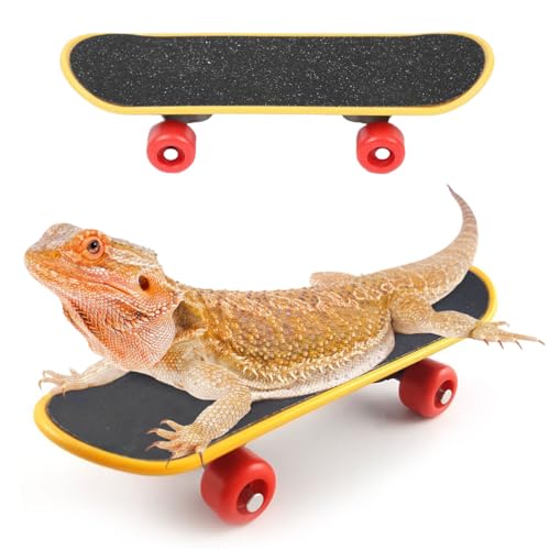 NIUNIUZHENG Intelligenzspielzeug für Vögel, Papageien, schnelles Skateboard-Zubehör, lustiges Haustier-Schildkröten-Spiel- und Trainingsspielzeug, Mini-Walking-Skateboard, Papagei, von NIUNIUZHENG